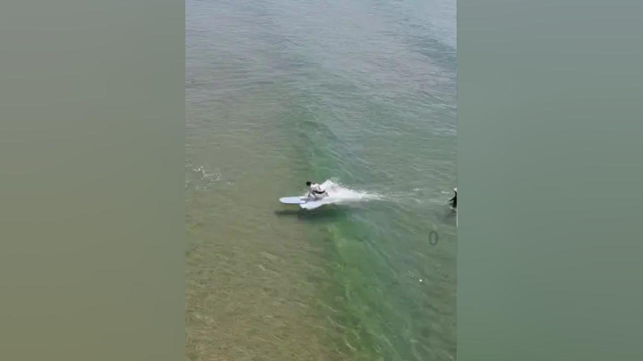 小猫钓鱼开船版最新版下载